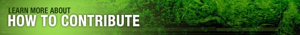 About the leaderboard